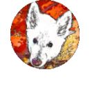 mrc fo4 cryss search